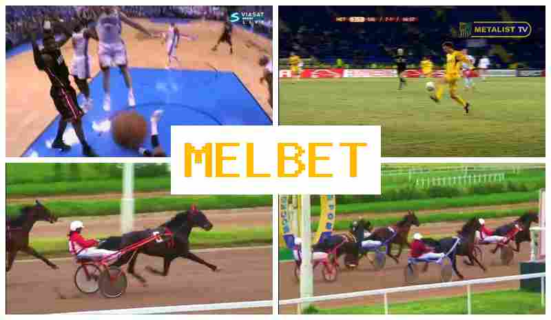 MELGET 🏆 Bookmaker Platform