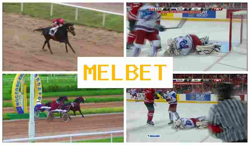 MELBER 💯 Gambling Operator, Bonus on Registration, Verified Site