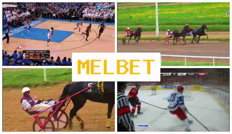 MEL BEET 🆗 Place Bets on Sports, Virtual with Attractive Odds
