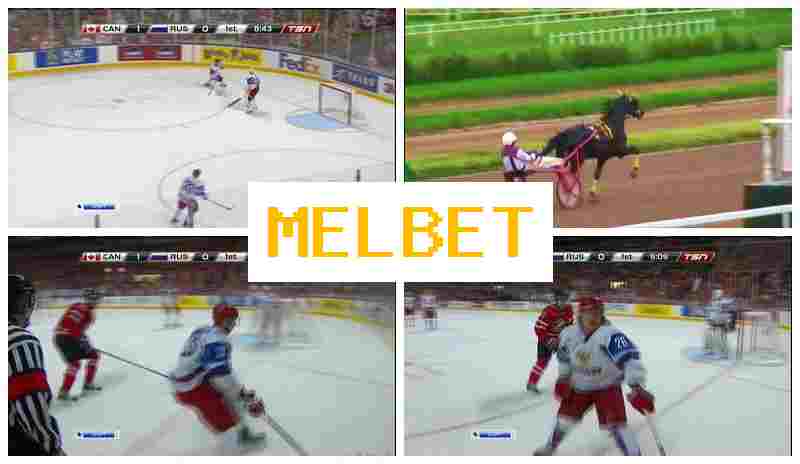 EML BET 💸 Betting Company, Login, Register