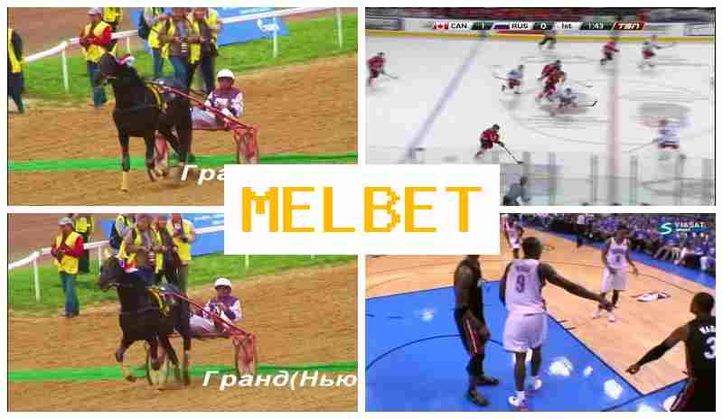 MLE BET 🔸 Verified Betting Company Site, Live Sports Wagering