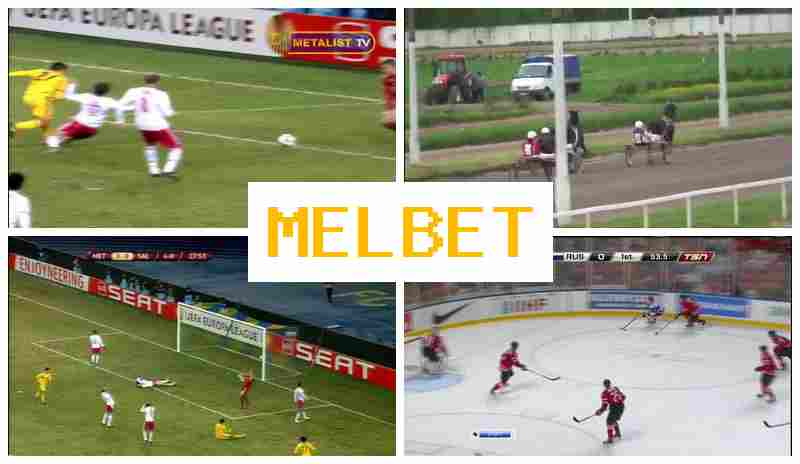 NEL BET 💰 Bet on Sporting Events, Promotions and Bonuses, Official Website