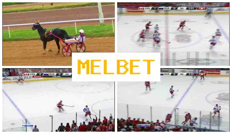 KEL BET 👍 Top Betting Platform, Register, Login, Bet on Live Sports