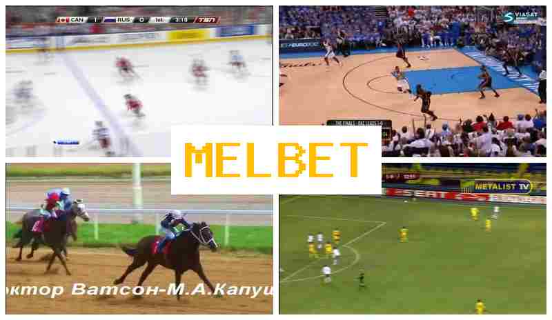 ,EL BET █ Sports Betting, Bonuses and Free Bets, Official Bookmaker Site ,EL BET █ Sports Betting, Bonuses and Free Bets, Official Bookmaker Site