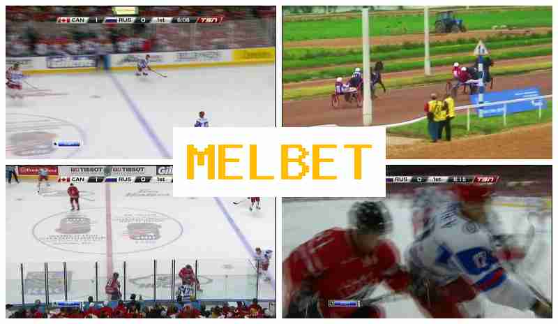 MWL BET 🆗 Live Sports Betting, Free Bets and Bonuses, Official Bookmaker Platform