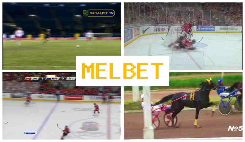 M3L BET ⚡ Online Sports Bets, Free Bets and Bonuses