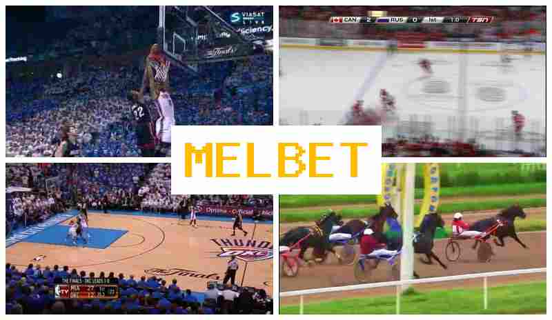 MSL BET 💸 Sporting Event Bets, Internet Betting, Authorized Sportsbook Site