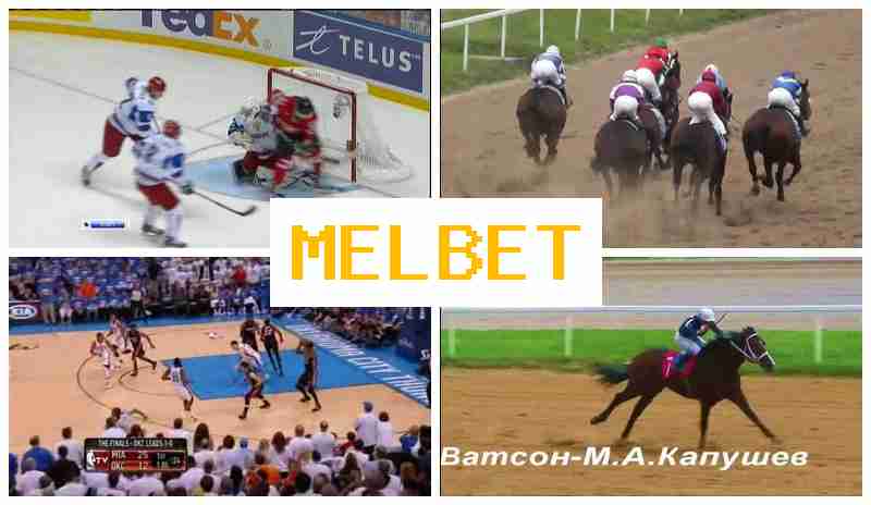 MEK BET 🔹 Betting Site Online, Enter Official Platform, Sign Up, Wager on Sporting Events