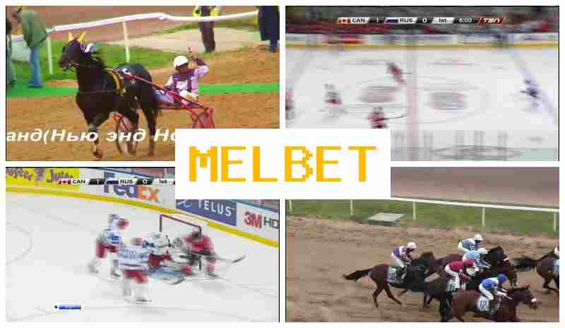 MEL NET 🌐 Sportsbook Online, Enter Official Platform, Create Account, Wager on Sporting Events