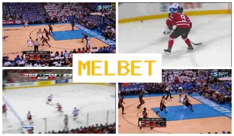 NELBET 💸 Bookmaker Platform, Bonus Offers on Registration