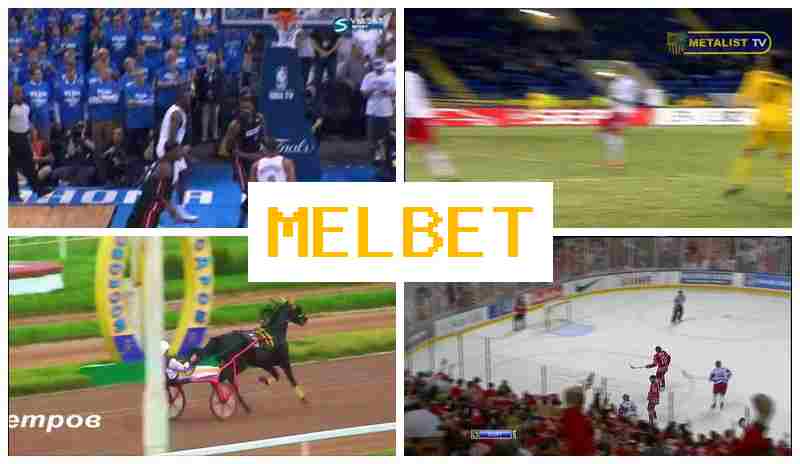 ,ELBET 🆕 Trusted Betting Company, Official Website, Sign Up