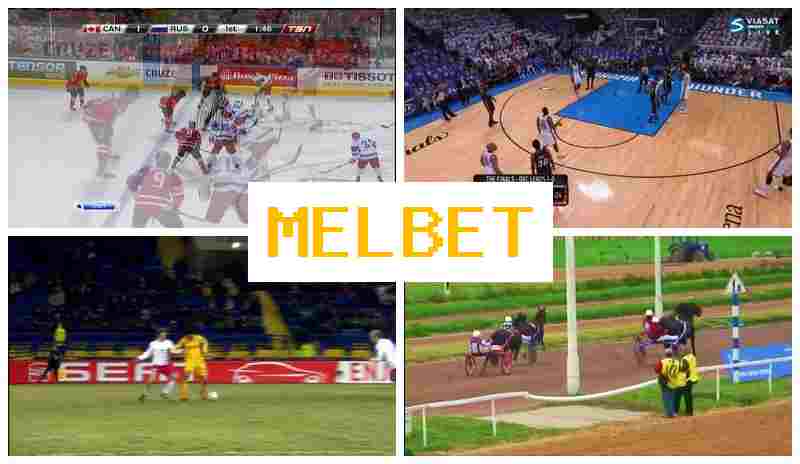 M3LBET 🌟 Authorized Bookmaker Online, Official Website, Special Offers and Rewards, Sign Up