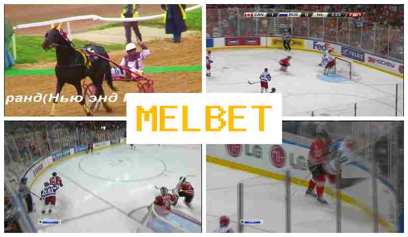MELVET ☘ Betting Firm, Online, Official Website