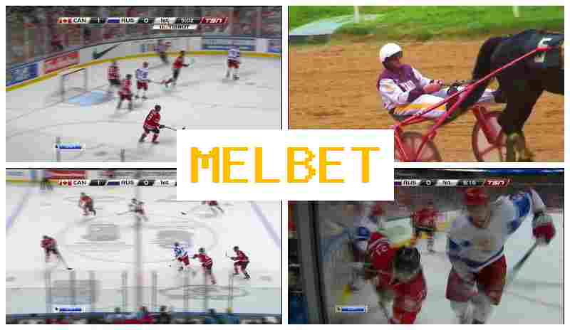 MELGET 💴 Online Sports Bets