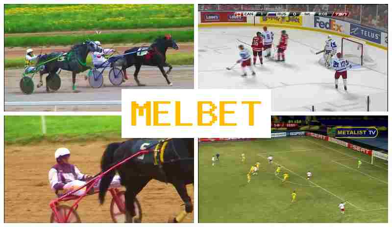 ELBET 🔔 Place Bets on Sports, Bonuses and Free Bets, Official Website