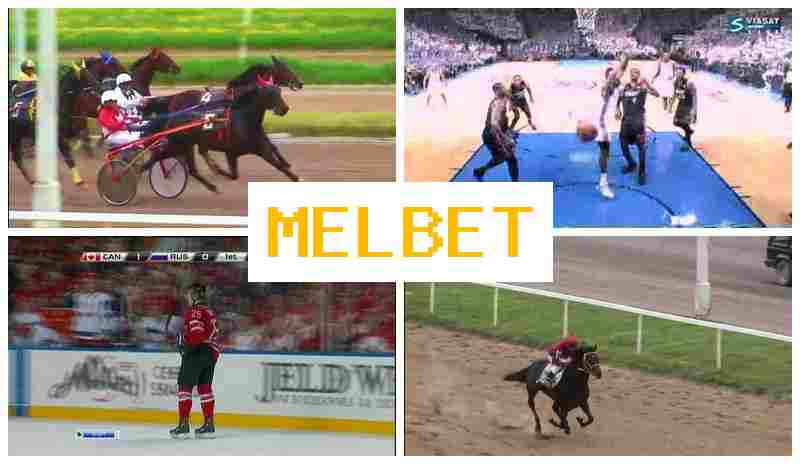 MELB4T 🔹 Online Sports Wagering