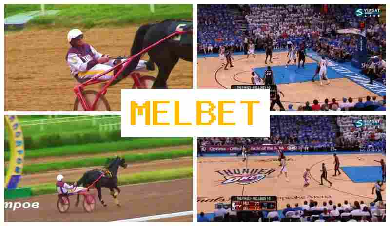 EL BET ▒ Official Sportsbook, Create Account, Sign In