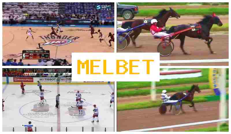 MEL BT 💷 Betting Firm, Online, Free Bets, Official Website