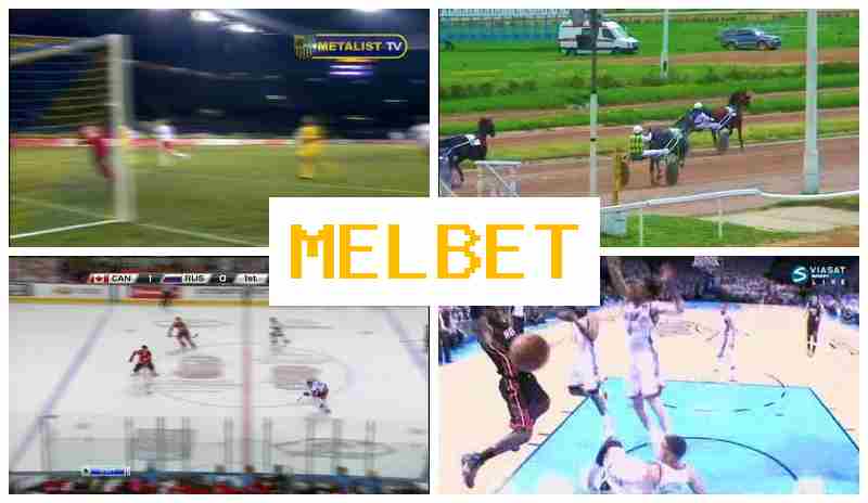 MEEL BET 🌐 Trusted Sportsbook Online, Create Account, Access Official Site, Wager Online
