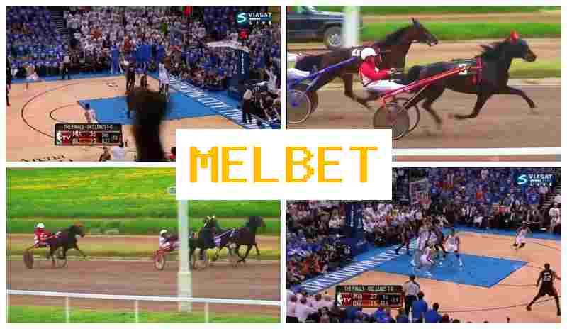 MELET 💲 Gambling Operator, Bonus on Registration, Official Platform of the Betting Firm