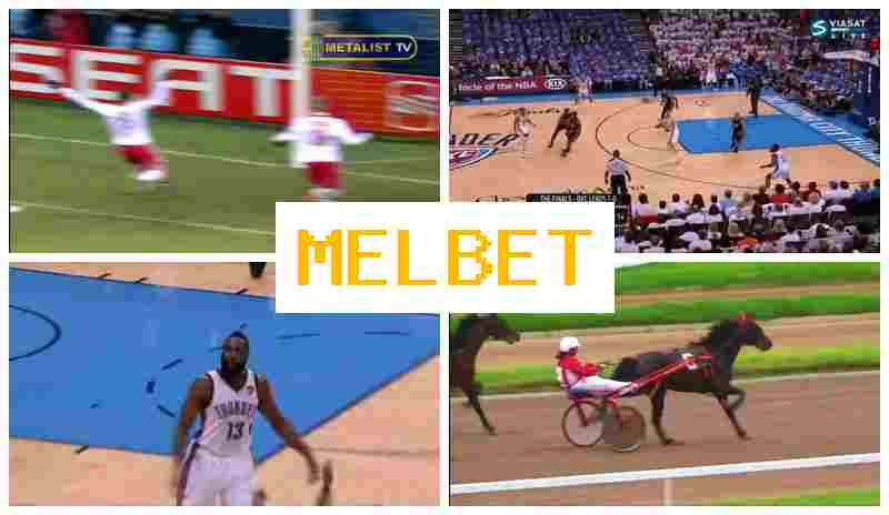 NEL BET 💶 Sportsbook, Welcome Free Bet, Official Bookmaker Website