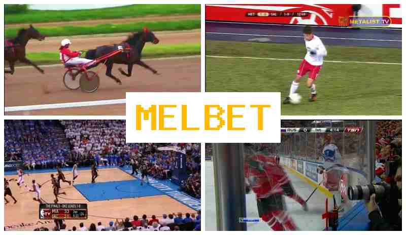 JEL BET 🔔 Online Sports Wagering, Digital Sports Betting offering High Odds