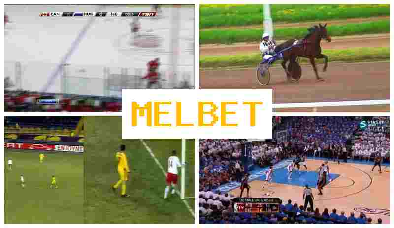 ,EL BET 🔹 Official Bookmaker Platform, Wager on Sports Live