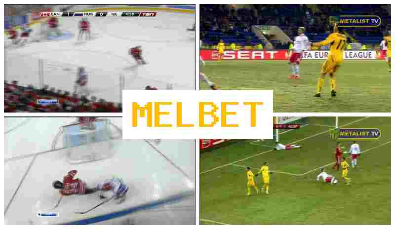 MSL BET 💵 Bookmaker Office, Bonus on Registration