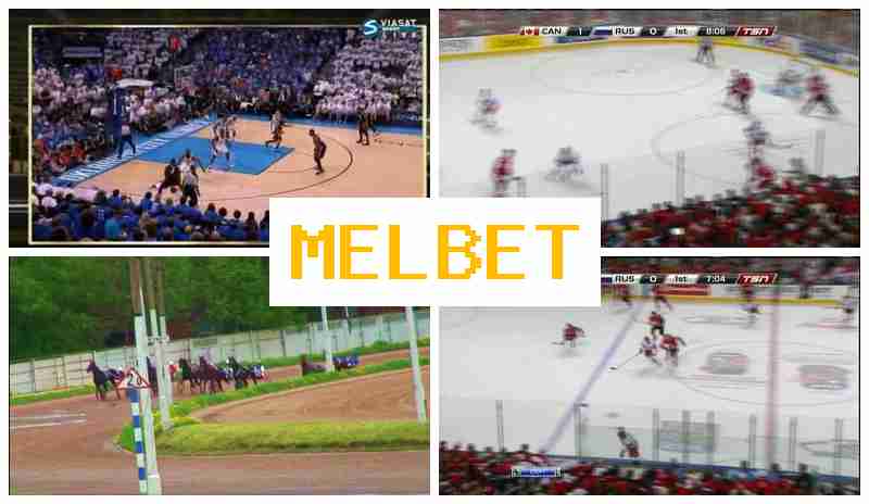 MEO BET 🔔 Authorized Bookmaker Online, Official Website, Free Bets and Bonuses, Sign Up