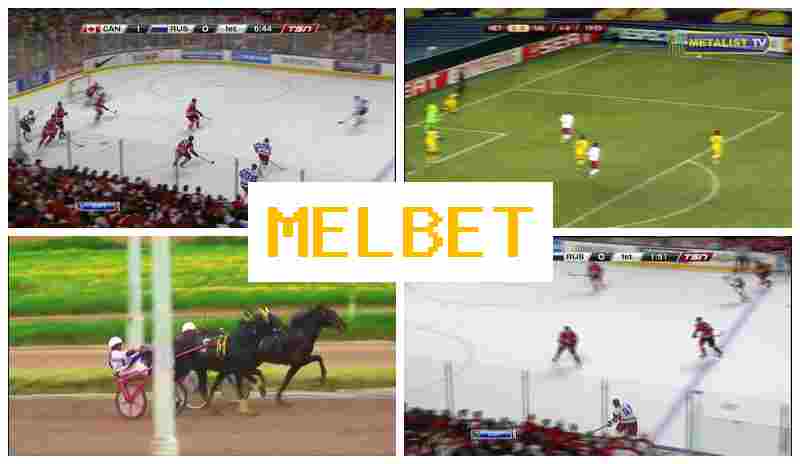 MEL VET 🏀 Bookmaker Company, First Deposit Bonus, Official Site