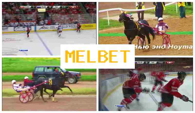 MEL BDT 💰 Bet on Sports, Internet Betting, Verified Site