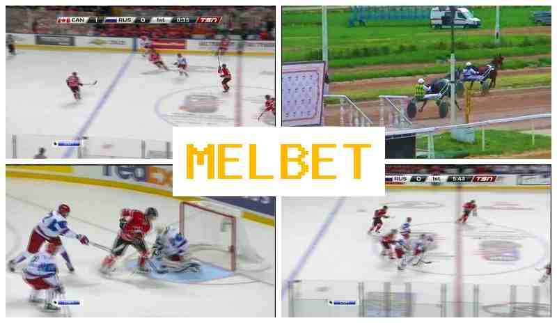 MEL BEF 🔵 Online Bookmaker