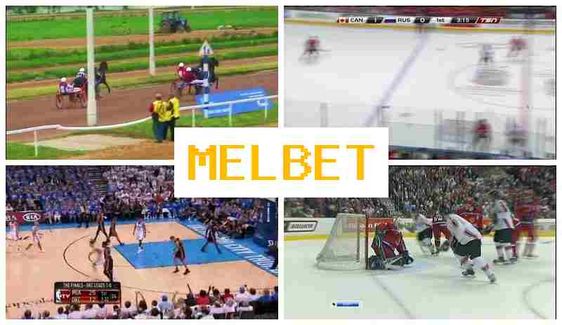 NELBET 💶 Bet on Sports, Internet Betting, Special Offers and Rewards, Authorized Bookmaker Site