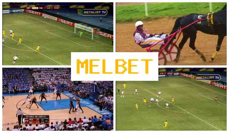 JELBET 🔹 Digital Betting Platform, Bonus on Registration, Sportsbook Bets