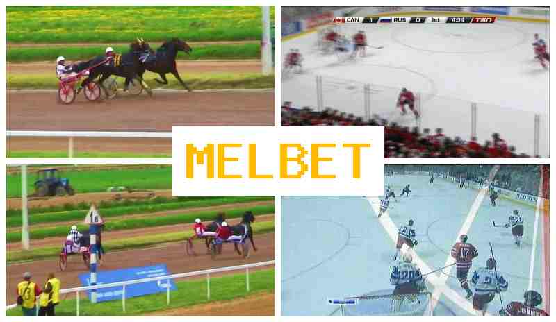 KELBET 💷 Authorized Bookmaker Online, Official Website, Sign Up