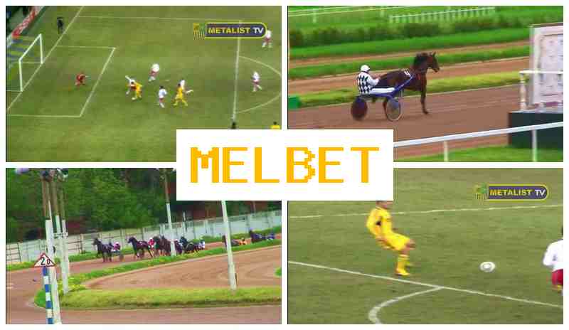 MWLBET 💵 Place Bets on Sports, Promotions and Bonuses, Official Bookmaker Site