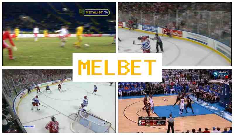 M4LBET █ Betting Firm, Official Website