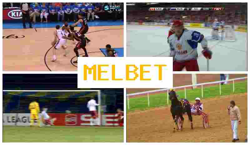 MSLBET 🌟 Live Sports Betting, Special Offers and Rewards