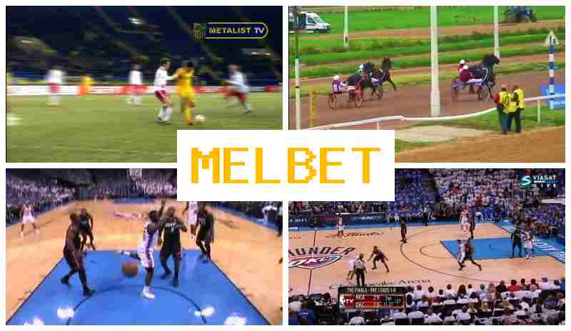 MEOBET 🆕 Internet Bookmaker, Bonus on Registration
