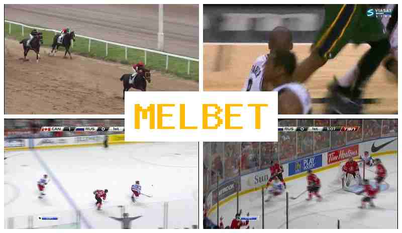 MELB3T █ Live Betting on Sports, Web Betting, Bonus Offers, Official Bookmaker Site