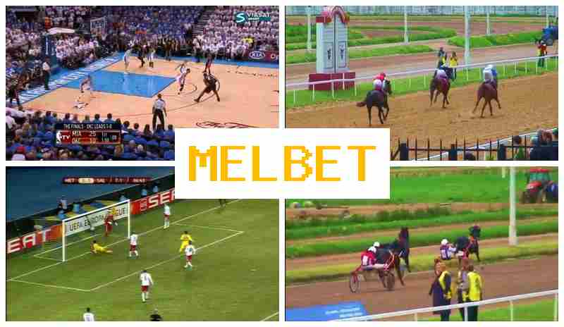 MMEL BET ✔️ Official Bookmaker Online, Join Now, Login, Live Sports Bets