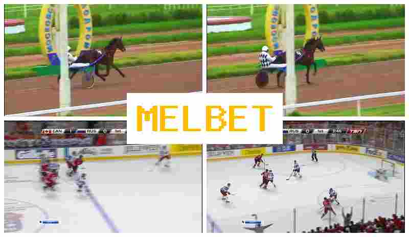 MELL BET 🔵 Betting Site Online, Access Official Site, Join Now