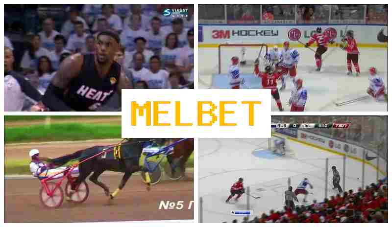 MEL  BET 🔸 Authorized Bookmaker Online, Official Website, Free Bets and Bonuses, Sign Up
