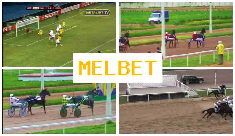 MEL BETT ✔️ Bookmaker Company, Online