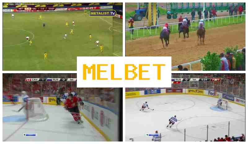 MELET 🔸 Bookmaker Platform, Official Website
