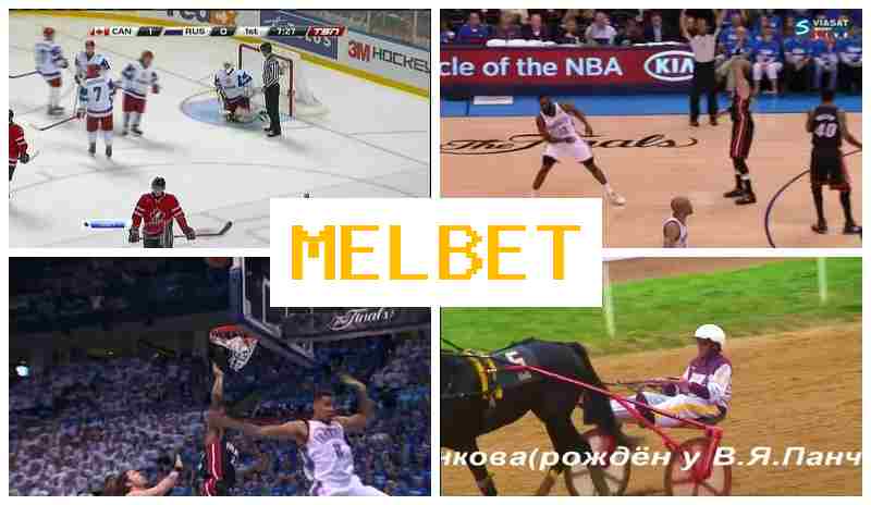 NEL BET 💶 Betting Platform, Bonus on Registration