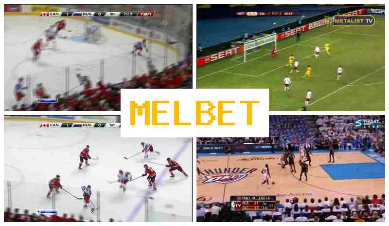 JEL BET 💸 Betting Platform, New Player Bonus, Official Page