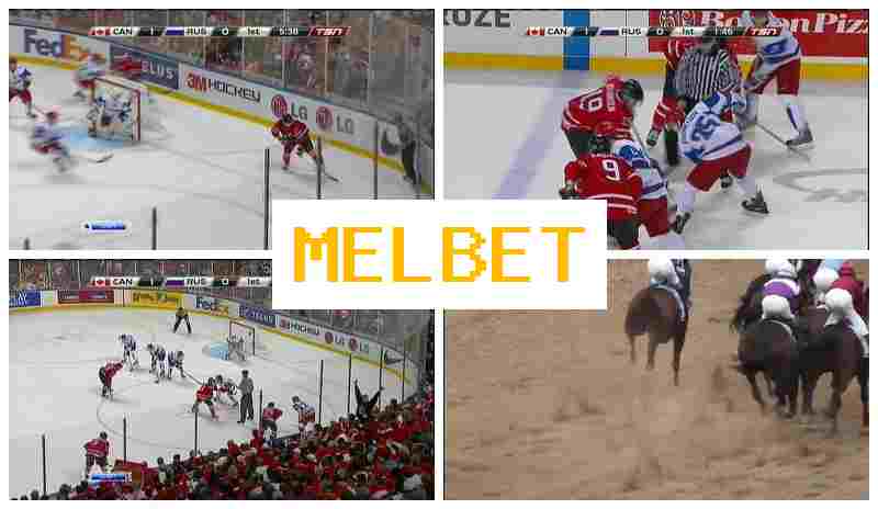 M3L BET 🏆 Bookmaker Online, New Player Bonus, Online Sports Bets