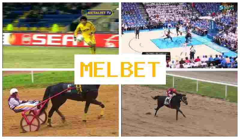 M4L BET ⚾ Bookmaker Online, Login, Create Account, Bet on Sports