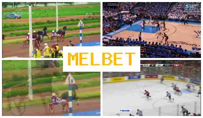 MRL BET 🔶 Bookmaker, Login, Registration, Bet on Sports